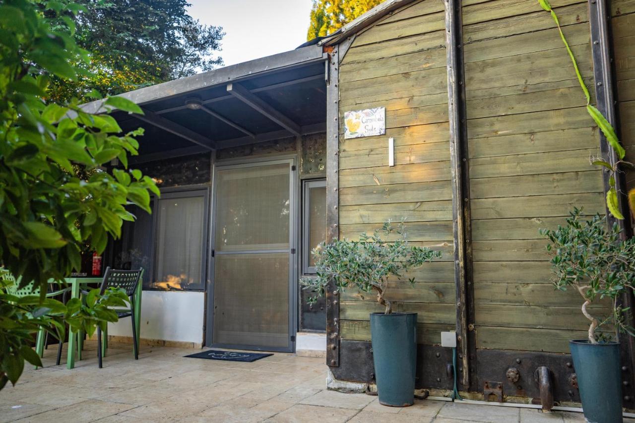 Lisa'S Farm Place Rishon LeZion Exteriör bild