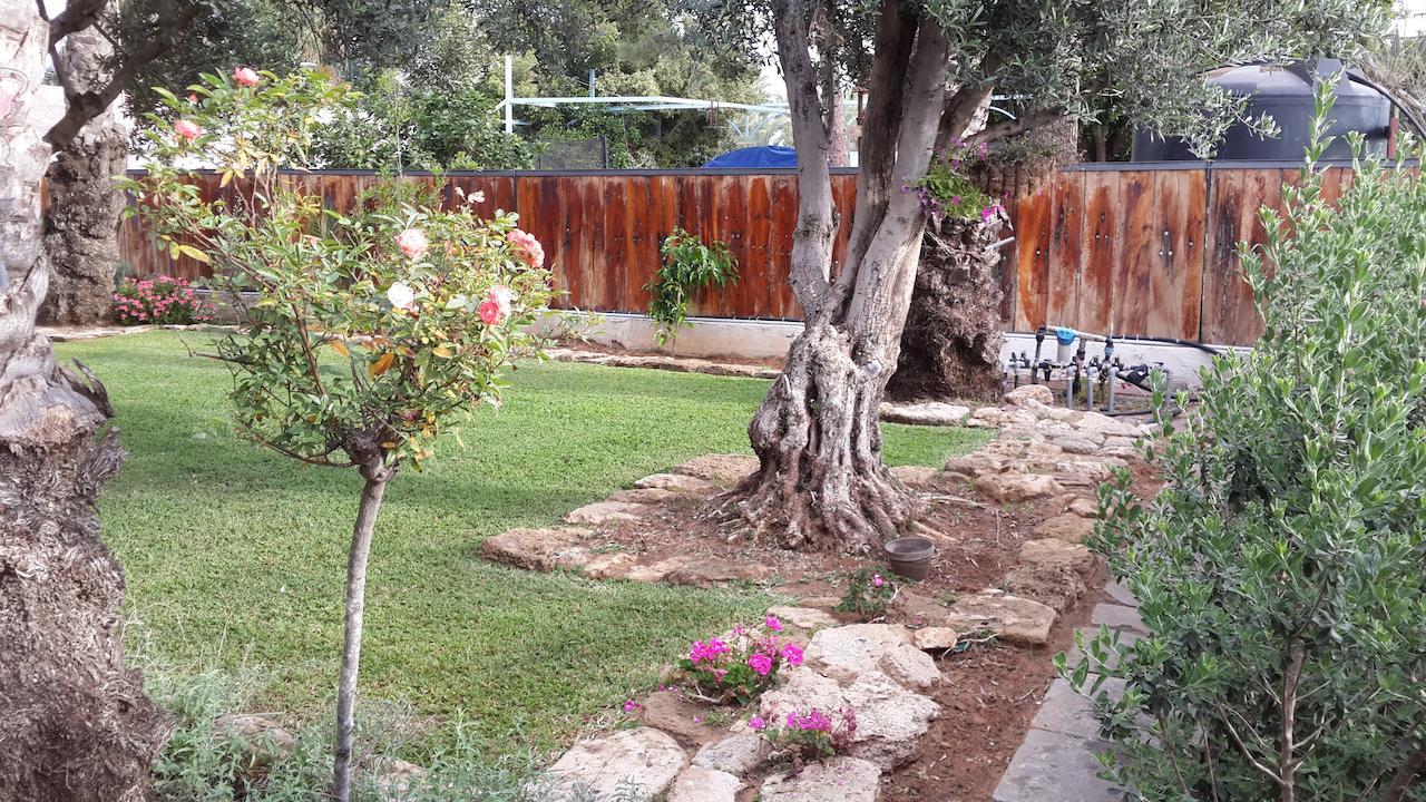 Lisa'S Farm Place Rishon LeZion Exteriör bild
