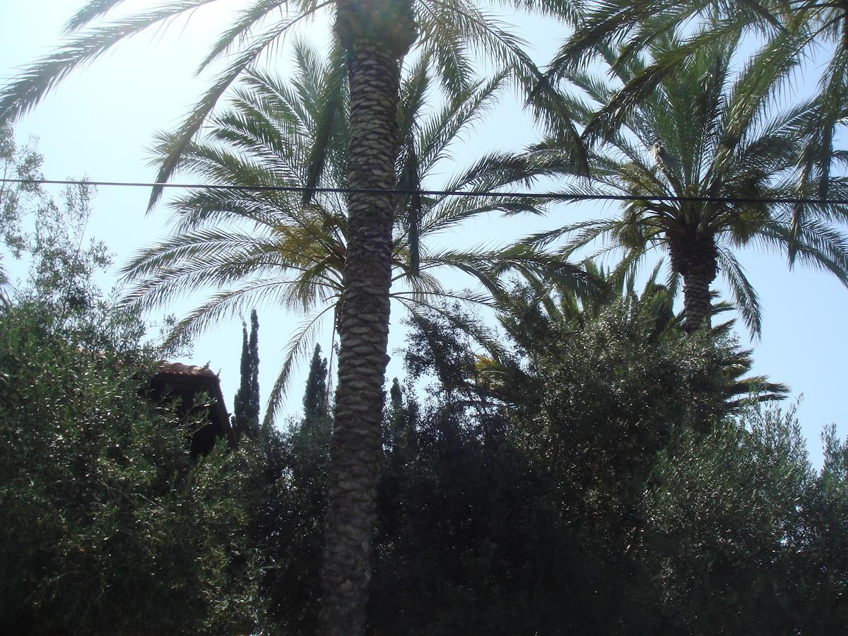 Lisa'S Farm Place Rishon LeZion Rum bild