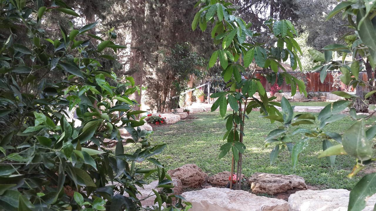 Lisa'S Farm Place Rishon LeZion Exteriör bild
