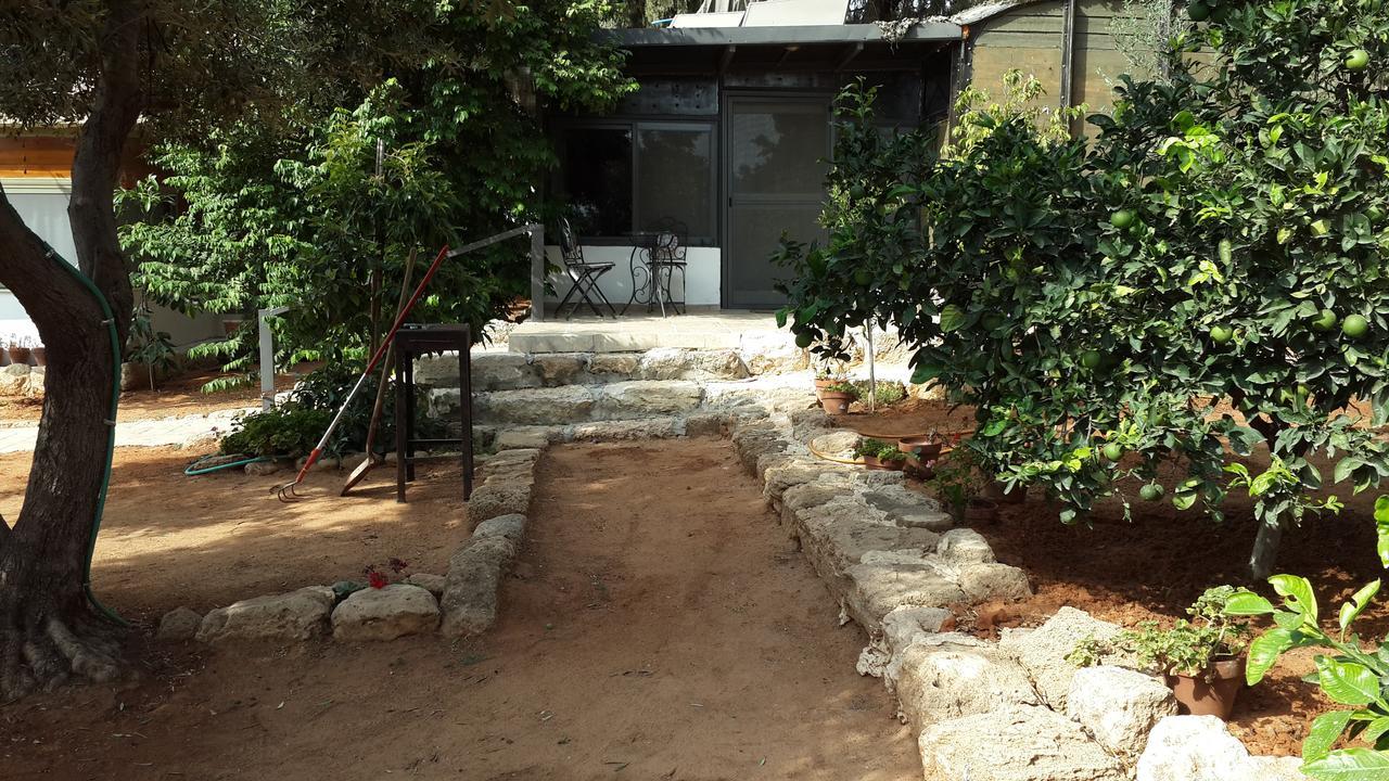 Lisa'S Farm Place Rishon LeZion Exteriör bild
